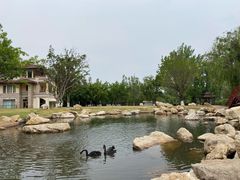 -西昌邛海宾馆