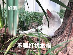 -西园寺