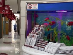 -雅悦齿科(顾村公园店)