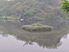 -重庆彩云湖湿地公园
