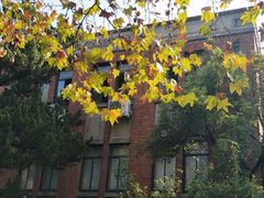 -浙江大学(玉泉校区)