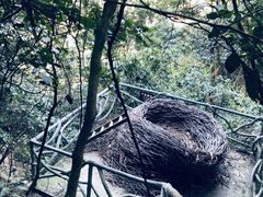 -龙湾潭国家森林公园