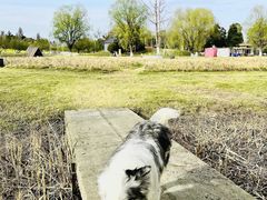 -国际非物质文化遗产博览园