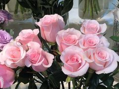 -花草间花行(法华镇路店)