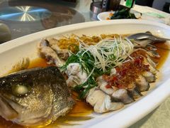 -汇丰苑·海鲜青岛菜(中山路大鲍岛店)