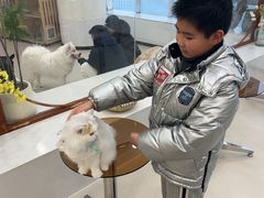 -共舞时光猫咖·狗咖(新街口店)