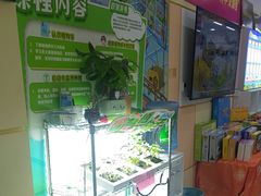 -艾克瑞特AI机器人·少儿编程·STEAM教育(万达校区)