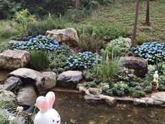 -云溪植物园