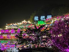 -枇杷园食为鲜火锅(南山店)