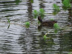 -华南国家植物园-售票处