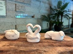 -天目湖涵田半山温泉