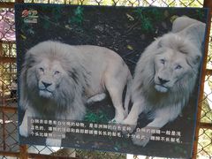 -哈尔滨北方森林动物园