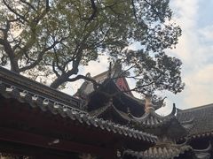 -普济寺素斋