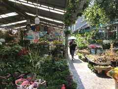 -曲阳花鸟市场(曲阳路店)