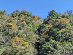 -瓦屋山景区