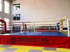 -国际安全防卫学院