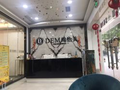 -DEM缔怡美科技美容
