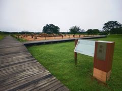 -盘龙城国家考古遗址公园