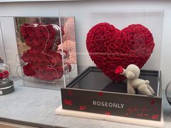 -ROSEONLY诺誓(广州K11店)
