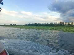 -白洋淀景区