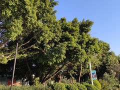 -肯德基(大剧院店)