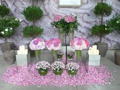 -荷兰布尔玛国际花艺学院