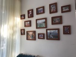 -榕树上·瑜伽普拉提