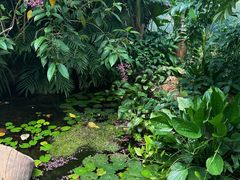-昆明植物园