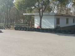 -上海海湾国家森林公园