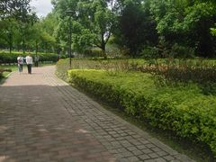 -金山公园