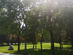 -大望京公园