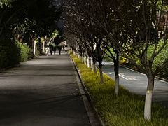 -三垟湿地