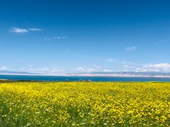 -青海湖国家重点风景名胜区