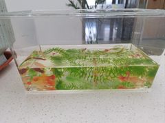 -格林豪泰酒店(合肥步行街大东门地铁站店)