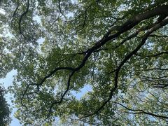 -上海市保健医疗中心