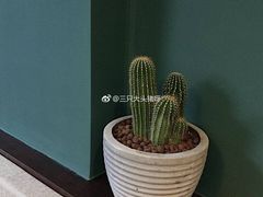 -So Acai(天河店)