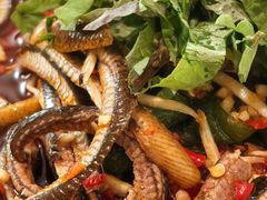 -飞虹鱼馆(春华路店)