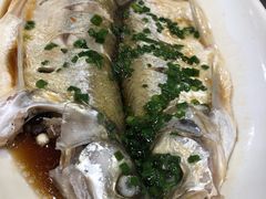 清蒸鲜白鱼-西新饭店(城中店)