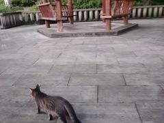 -重庆平顶山公园