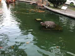 -广东温泉宾馆