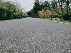 -宜兴龙背山森林公园