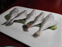精品耗儿鱼-黄家码头老火锅(解放碑旗舰店)
