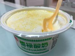 -德禄酸奶(莫家街店)