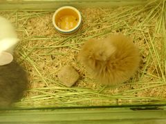 -龙猫仔乐园(惠福东路店)