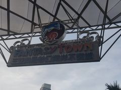 -三亚海昌梦幻海洋不夜城