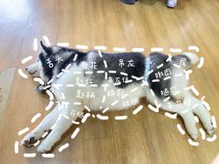 -Husky Go! 哈士奇体验馆·宠物咖啡厅狗咖