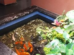 -隐炉和牛烧肉店(群力店)