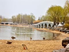 -北京麋鹿生态实验中心