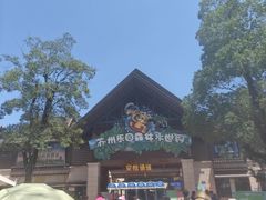 -苏州乐园森林水世界