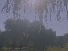-阿尔丁植物园